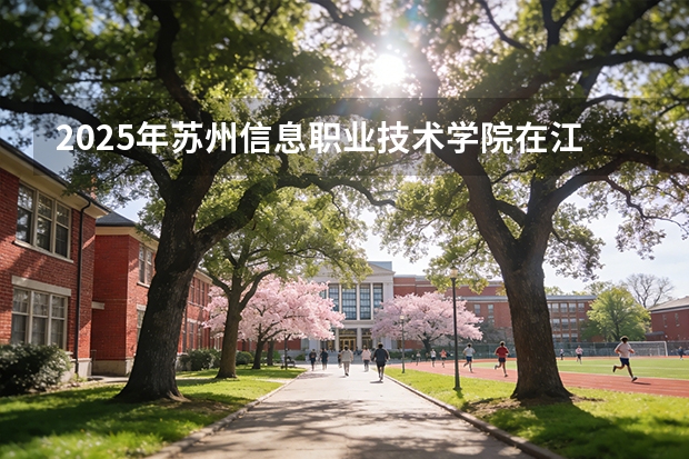 2025年苏州信息职业技术学院在江苏艺术类投档分数线（2026年参考）