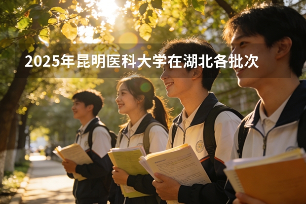 2025年昆明医科大学在湖北各批次选科要求（2026年参考）