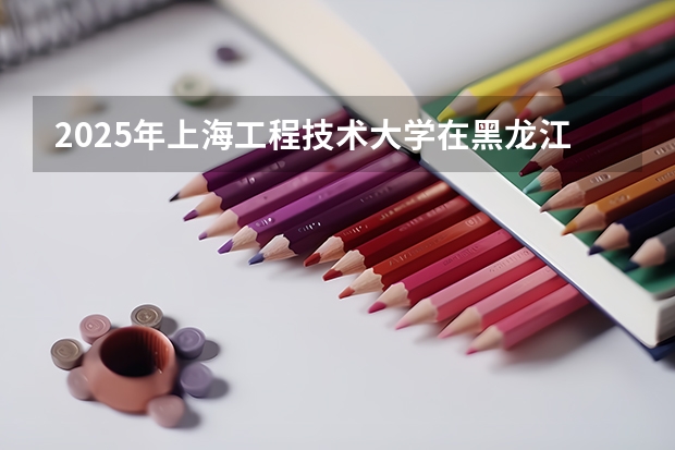 2025年上海工程技术大学在黑龙江投档分数线（2026年参考）