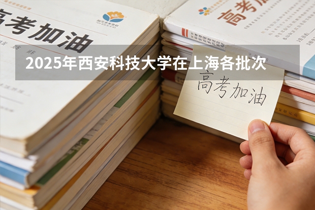 2025年西安科技大学在上海各批次选科要求（2026年参考）