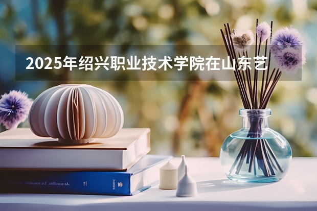 2025年绍兴职业技术学院在山东艺术类投档分数线（2026年参考）
