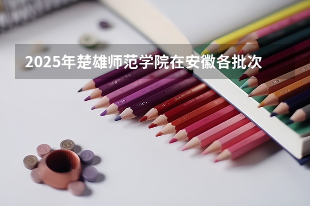 2025年楚雄师范学院在安徽各批次选科要求（2026年参考）
