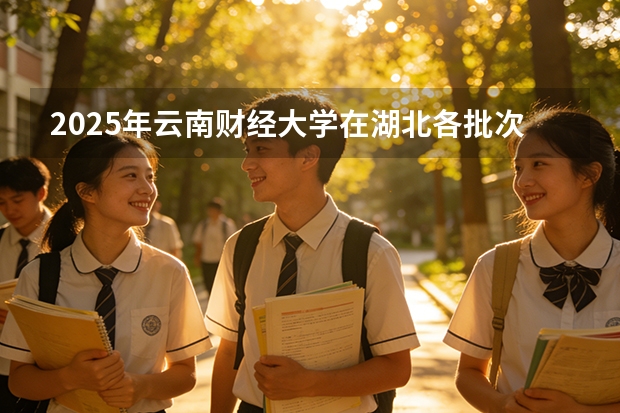 2025年云南财经大学在湖北各批次选科要求（2026年参考）
