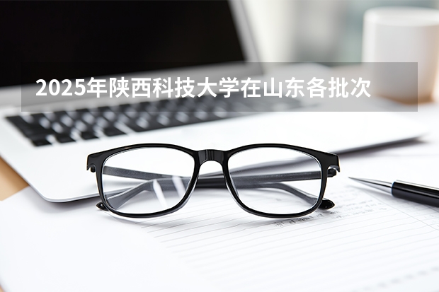 2025年陕西科技大学在山东各批次选科要求（2026年参考）
