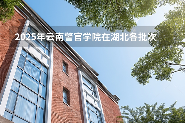 2025年云南警官学院在湖北各批次选科要求（2026年参考）