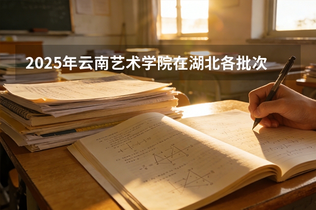 2025年云南艺术学院在湖北各批次选科要求（2026年参考）