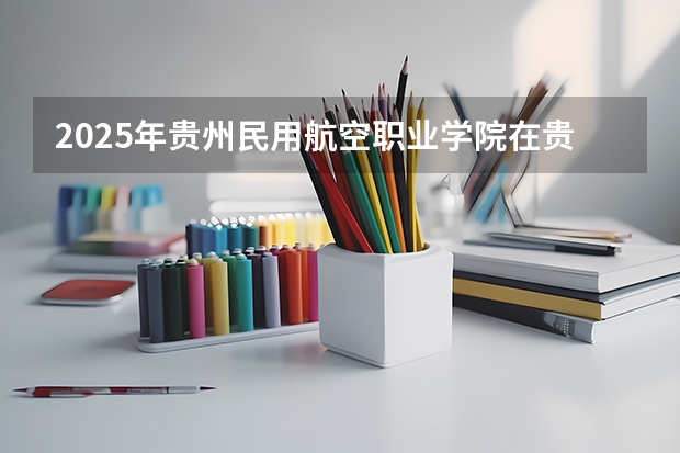 2025年贵州民用航空职业学院在贵州艺术类投档分数线（2026年参考）
