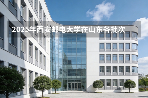 2025年西安邮电大学在山东各批次选科要求（2026年参考）