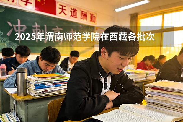 2025年渭南师范学院在西藏各批次选科要求（2026年参考）