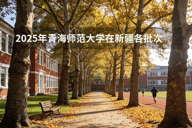 2025年青海师范大学在新疆各批次选科要求（2026年参考）