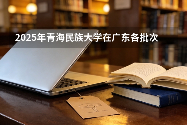 2025年青海民族大学在广东各批次选科要求（2026年参考）