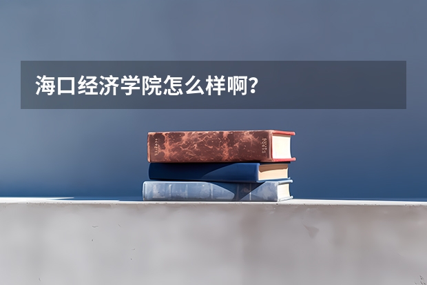 海口经济学院怎么样啊？