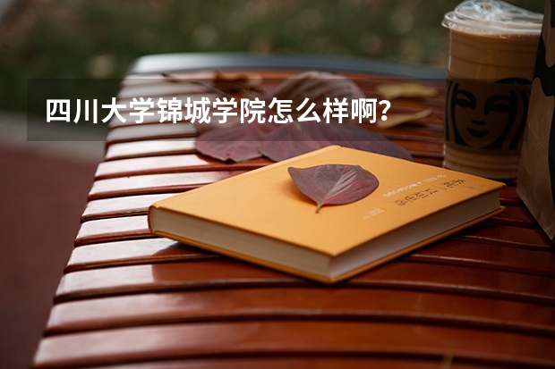 四川大学锦城学院怎么样啊？