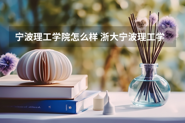 宁波理工学院怎么样 浙大宁波理工学院的学习氛围如何