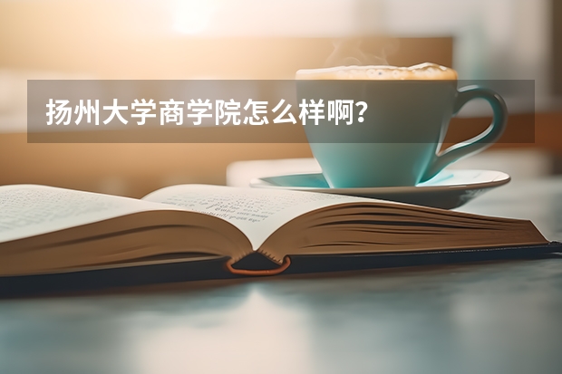 扬州大学商学院怎么样啊？