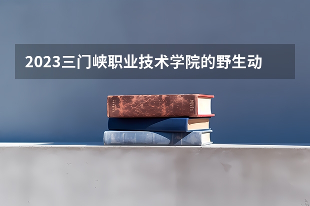 2023三门峡职业技术学院的野生动物资源保护与利用专业分数线高不高 三门峡职业技术学院野生动物资源保护与利用专业历年分数线参考表单