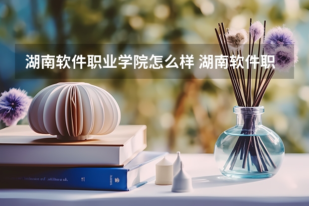 湖南软件职业学院怎么样 湖南软件职业技术大学就业前景