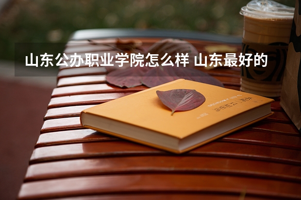 山东公办职业学院怎么样 山东最好的公办职业学校