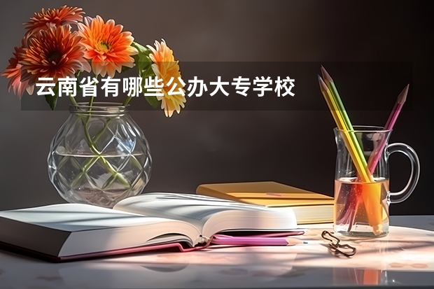 云南省有哪些公办大专学校
