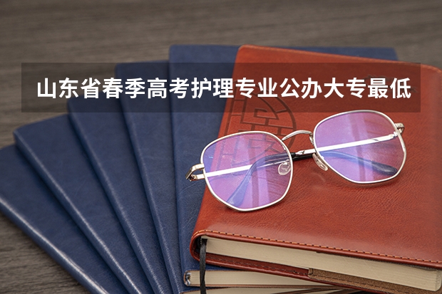 山东省春季高考护理专业公办大专最低分是多少