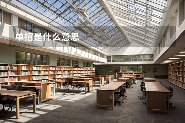 单招是什么意思