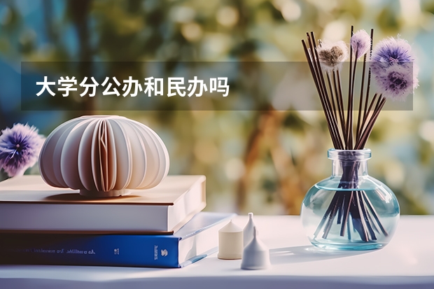 大学分公办和民办吗