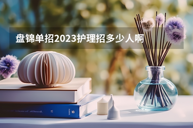 盘锦单招2023护理招多少人啊