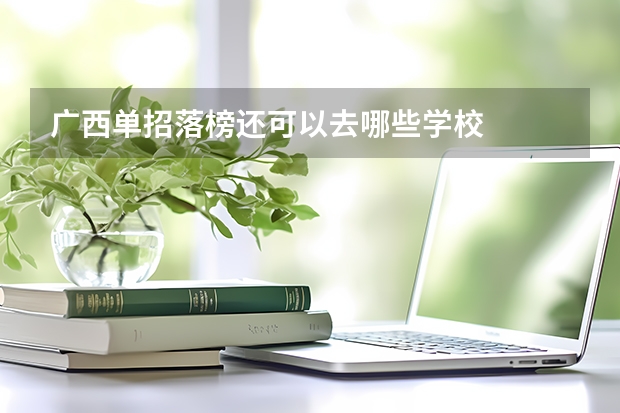 广西单招落榜还可以去哪些学校