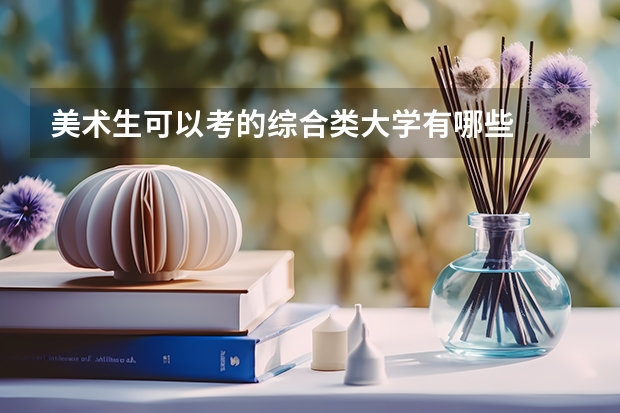 美术生可以考的综合类大学有哪些