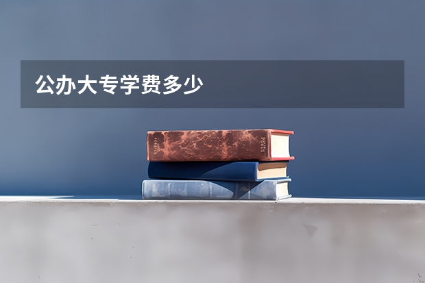 公办大专学费多少