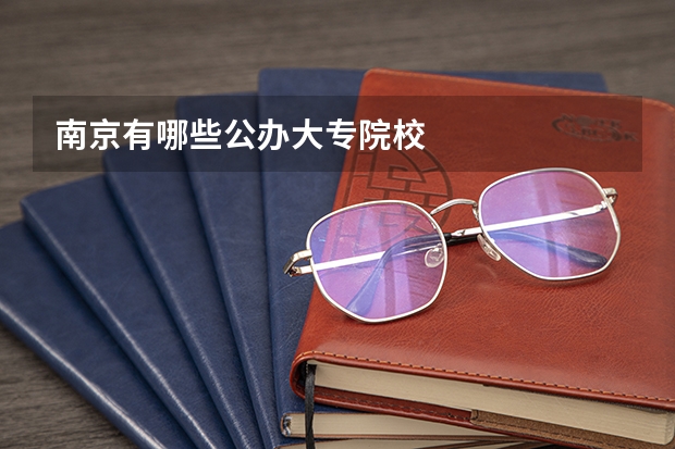 南京有哪些公办大专院校